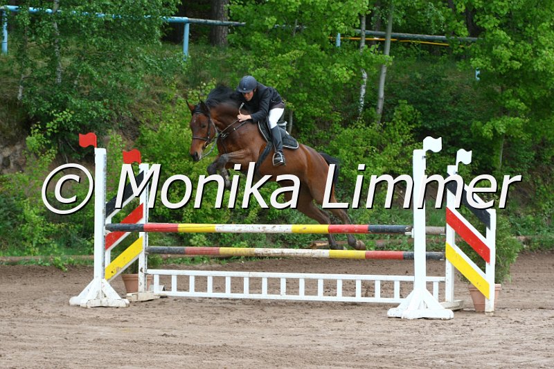 104M7328_Upper Class_Springpf_A.JPG